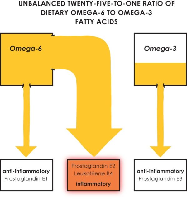 Omega 3/Omega 6 The Bad Chronic Pain Simplified Inc.